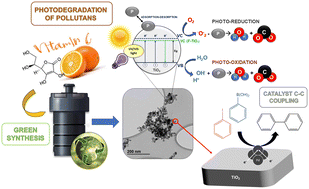 Graphical abstract: Modulation of the photocatalytic activity and crystallinity of F-TiO2 nanoparticles by using green natural carboxylic acids