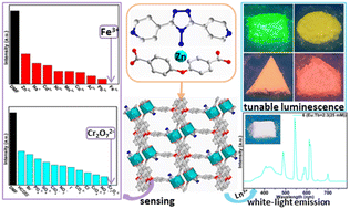 Graphical abstract: A 2-fold interpenetrated zinc–organic framework with Lewis basic triazole sites: luminescence sensing of Fe3+ and Cr2O72−, and warm white-light emission by encapsulated Ln3+ ions