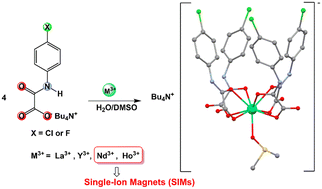 Graphical abstract: Lanthanide(iii)-oxamato complexes containing Nd3+ and Ho3+: crystal structures, magnetic properties, and ab initio calculations