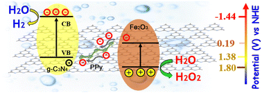 Graphical abstract: Conductive polymer mediated earth abundant Z-scheme g-C3N4/Fe2O3 heterostructure with excellent photocatalytic activity