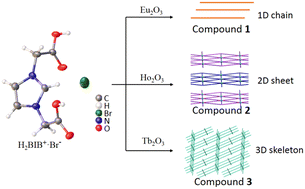Graphical abstract: Tuning the bonding dimensions for coordination polymers based on rare earth metal ions