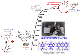 Graphical abstract: Crystal engineering, electron density analysis, and in situ variable temperature studies on co-crystal between nicotinic acid and gallic acid sesquihydrate