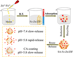 Graphical abstract: Recovery of syringic acid from aqueous solution by magnetic Fe–Zn/ZIF and its slow release from the CA-coated carrier based on the 3Rs concept