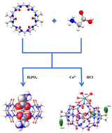 Graphical abstract: Host–guest inclusion complexes formed between a symmetrical tetrasubstituted cucurbit[6]uril and glycine