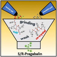 Graphical abstract: Co-crystals of zwitterionic GABA API's pregabalin and phenibut: properties and application