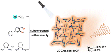 Graphical abstract: Chiral two-dimensional metal–organic frameworks based on Zn(salen) ligands: subcomponent self-assembly and circularly polarised luminescence