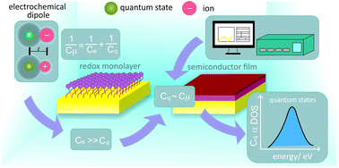 Graphical abstract: Quantum rate dynamics and charge screening at the nanoscale level