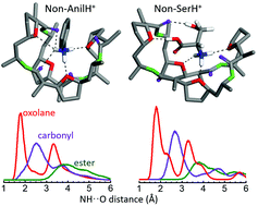 Graphical abstract: Inclusion complexes of the macrocycle nonactin with benchmark protonated amines: aniline and serine