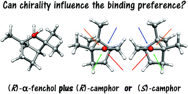 Graphical abstract: Sniffing out camphor: the fine balance between hydrogen bonding and London dispersion in the chirality recognition with α-fenchol