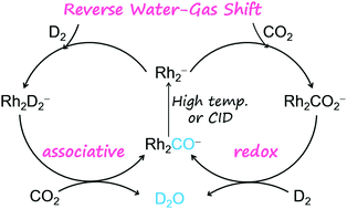 Graphical abstract: Reverse water–gas shift reaction catalyzed by diatomic rhodium anions