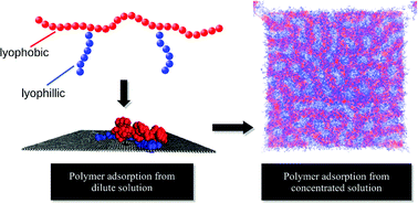 Graphical abstract: Adsorption of amphiphilic grafted polymers as polymer corrosion inhibitors: insights from mesoscopic simulations