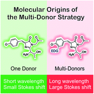 Graphical abstract: Molecular origins of the multi-donor strategy in inducing bathochromic shifts and enlarging Stokes shifts of fluorescent proteins