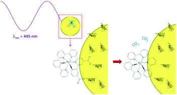 Graphical abstract: Plasmon-catalysed decarboxylation of dicarboxybipyridine ligands in Ru(ii) complexes chemisorbed on Ag nanoparticles: conditions, proposed mechanism and role of Ag(0) adsorption sites