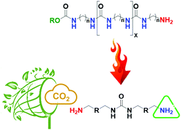 Graphical abstract: In situ activation of green sorbents for CO2 capture upon end group backbiting