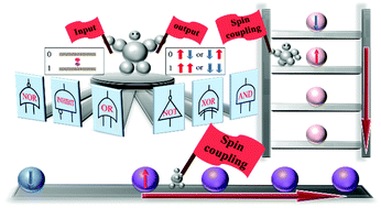 Graphical abstract: Revealing intrinsic spin coupling in transition metal-doped graphene