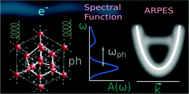 Graphical abstract: Spectroscopic signatures of nonpolarons: the case of diamond