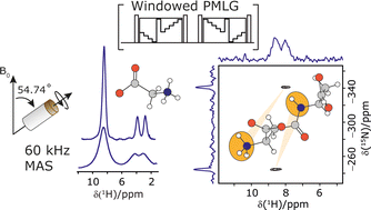Graphical abstract: Optimisation of 1H PMLG homonuclear decoupling at 60 kHz MAS to enable 15N–1H through-bond heteronuclear correlation solid-state NMR spectroscopy