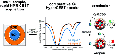 Graphical abstract: Rapid analytical CEST spectroscopy of competitive host–guest interactions using spatial parallelization with a combined approach of variable flip angle, keyhole and averaging (CAVKA)
