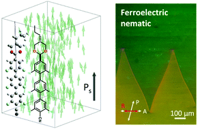 Graphical abstract: Development of emergent ferroelectric nematic liquid crystals with highly fluorinated and rigid mesogens