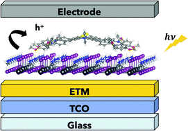 Graphical abstract: Electronic structure and interfacial features of triphenylamine- and phenothiazine-based hole transport materials for methylammonium lead iodide perovskite solar cells