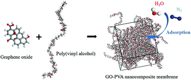 Graphical abstract: Molecular simulation of enhanced separation of humid air components using GO–PVA nanocomposite membranes under differential pressures