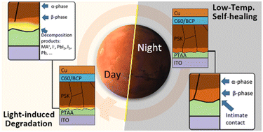 Graphical abstract: Low-intensity–low-temperature stability assessment of perovskite solar cells operating on simulated Martian surface conditions