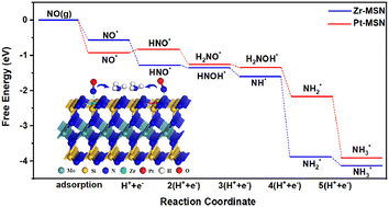 Graphical abstract: Nitric oxide electrochemical reduction reaction on transition metal-doped MoSi2N4 monolayers