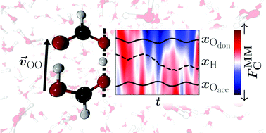 Graphical abstract: Double proton transfer in hydrated formic acid dimer: Interplay of spatial symmetry and solvent-generated force on reactivity