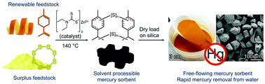 Graphical abstract: Modelling mercury sorption of a polysulfide coating made from sulfur and limonene