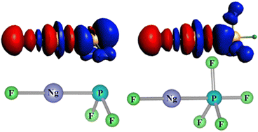 Graphical abstract: Existence of noble gas-inserted phosphorus fluorides: FNgPF2 and FNgPF4 with Ng–P covalent bond (Ng = Ar, Kr, Xe and Rn)