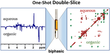 Graphical abstract: A one-shot double-slice selection NMR method for biphasic systems