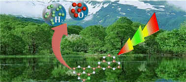 Graphical abstract: Doping atom improves photocatalytic performance in a new metal-free organic photocatalyst for water splitting