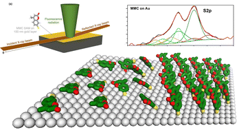 Graphical abstract: Structure and stability of 7-mercapto-4-methylcoumarin self-assembled monolayers on gold: an experimental and computational analysis