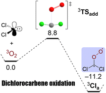 Graphical abstract: The activated reaction of dichlorocarbene with triplet molecular oxygen