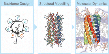 Graphical abstract: Towards de novo design of transmembrane α-helical assemblies using structural modelling and molecular dynamics simulation
