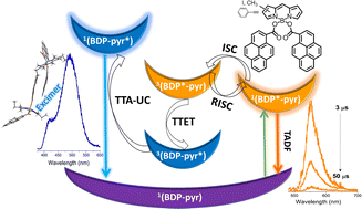Graphical abstract: Triplet–triplet sensitizing within pyrene-based COO-BODIPY: a breaking molecular platform for annihilating photon upconversion