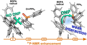 Graphical abstract: Large 31P-NMR enhancements in liquid state dynamic nuclear polarization through radical/target molecule non-covalent interaction