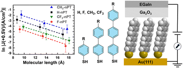 Graphical abstract: Effect of substitution on the charge transport properties of oligophenylenethiolate self-assembled monolayers