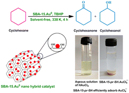 Graphical abstract: Mesoporous SBA-15 supported gold nanoparticles for solvent-free oxidation of cyclohexane: superior catalytic activity with higher cyclohexanone selectivity