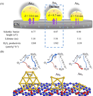 Graphical abstract: Visible light-driven H2O2 synthesis over Au/C3N4: medium-sized Au nanoparticles exhibiting suitable built-in electric fields and inhibiting reverse H2O2 decomposition