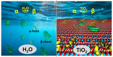 Graphical abstract: On the stability of peptide secondary structures on the TiO2 (101) anatase surface: a computational insight