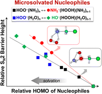 Graphical abstract: Nucleophilic substitution reactions of microsolvated hydroperoxide anion HOO−(NH3)n with methyl chloride and comparison between ammonia and water as the solvent