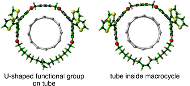 Graphical abstract: Theoretical understanding of stability of mechanically interlocked carbon nanotubes and their precursors