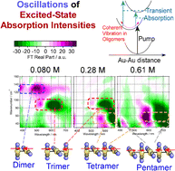 Graphical abstract: Spectroscopic mapping of the gold complex oligomers (dimer, trimer, tetramer, and pentamer) by excited-state coherent nuclear wavepacket motion in aqueous solutions