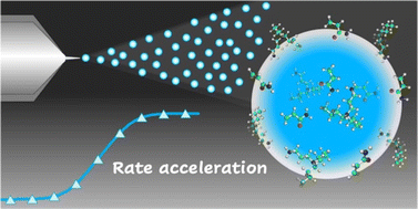 Graphical abstract: Disentangling reaction rate acceleration in microdroplets