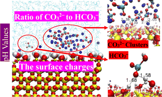 Graphical abstract: Adsorption of CO32−/HCO3− on a quartz surface: cluster formation, pH effects, and mechanistic aspects