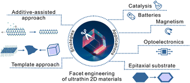 Graphical abstract: Facet engineering of ultrathin two-dimensional materials