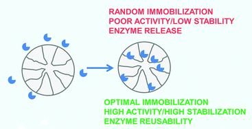 Graphical abstract: Is enzyme immobilization a mature discipline? Some critical considerations to capitalize on the benefits of immobilization
