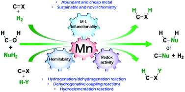 Graphical abstract: Manganese-catalyzed hydrogenation, dehydrogenation, and hydroelementation reactions