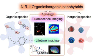 Graphical abstract: Management of fluorescent organic/inorganic nanohybrids for biomedical applications in the NIR-II region